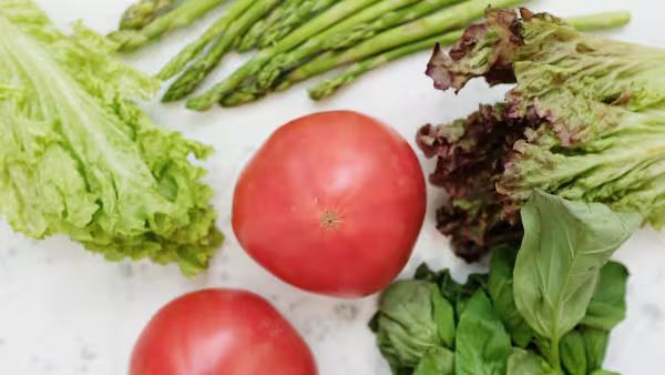 Researchers identify unexpected brain mechanism driving high blood pressure